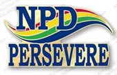 NPD Persevere Pin